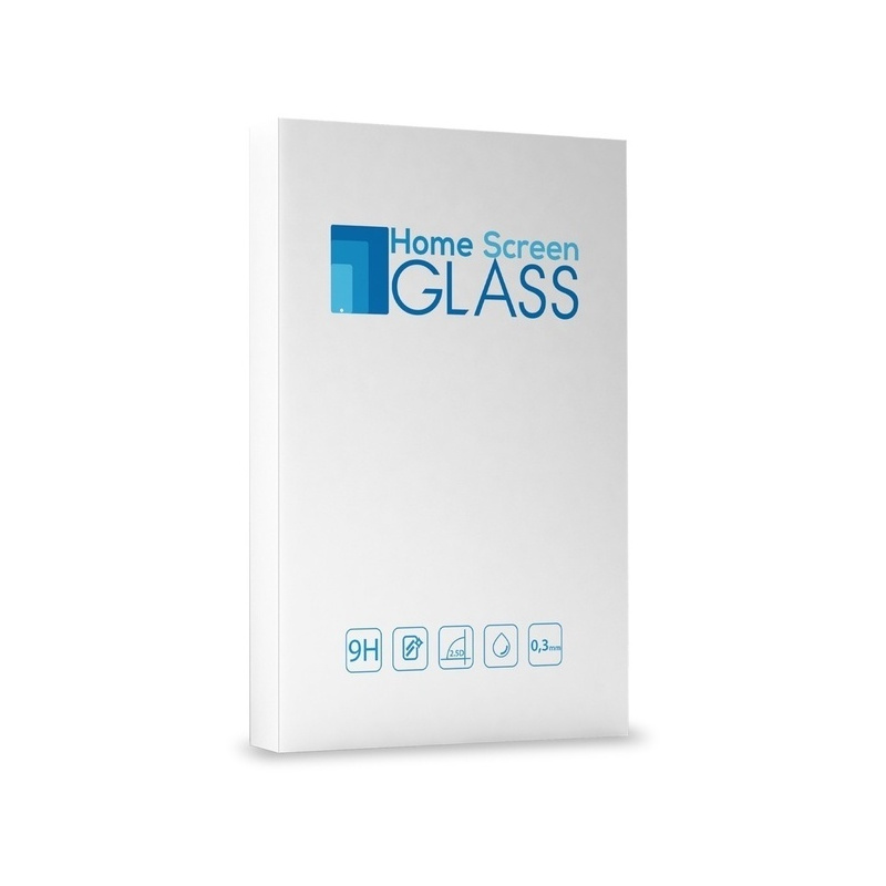 Home Screen Glass iPhone X (tył)