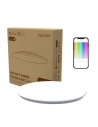 Yeelight Intelligente Deckenleuchte Arwen Ceiling Light 450C