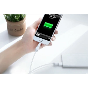 Kup UGREEN 6x osłona zabezpieczenie oryginalnego kabla Lightning biały (40705) - UGR676WHT - {ean13} - Sklep Home Screen