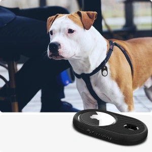Kup Etui Caseology Vault Apple AirTag Black - CSL005BLK - {ean13} - Sklep Home Screen