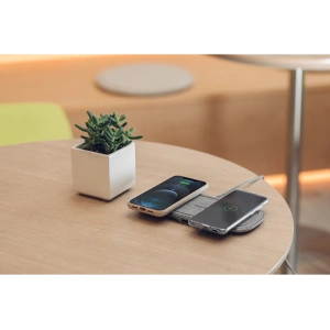 Buy Moshi Sette Q Dual Qi Wireless Charger (Nordic Gray) - MOSH144GRY - {ean13} - Home Screen Store Europe