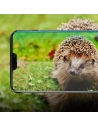 Buy Ringke Invisible Defender iPhone XS/X 5.8 Case Friendly - RGK773 - {ean13} - Home Screen Store Europe