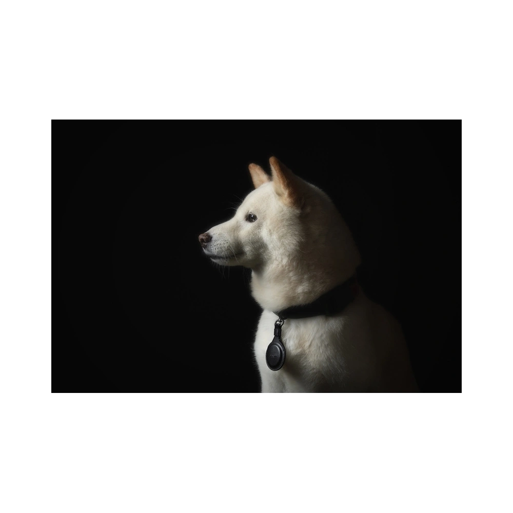 Etui Moshi Key Ring Apple AirTag (Jet Black)