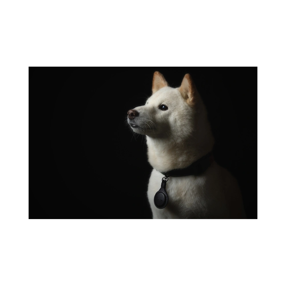 Etui Moshi Key Ring Apple AirTag (Jet Black)