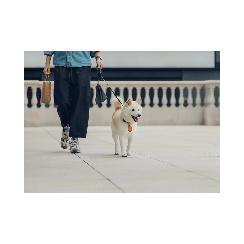 Etui Moshi Key Ring Apple AirTag (Jet Black)