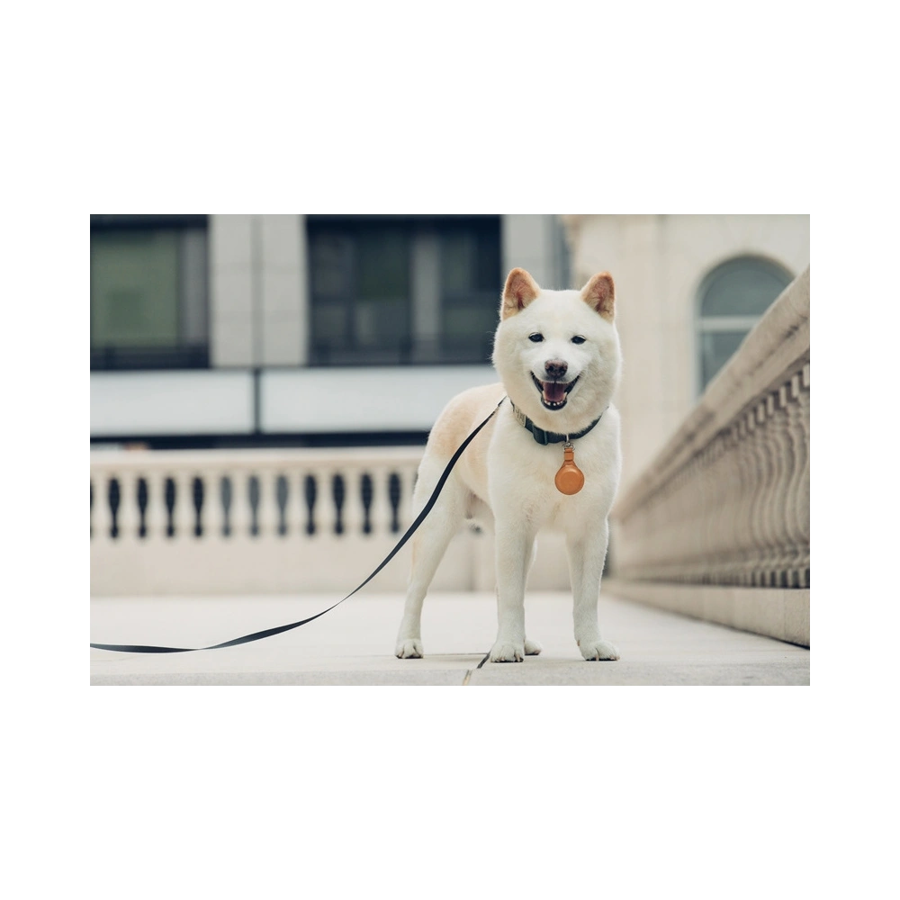 Etui Moshi Key Ring Apple AirTag (Jet Black)