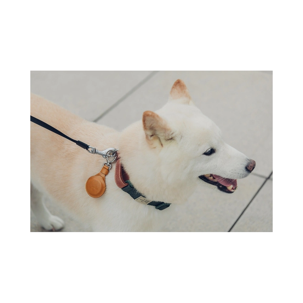 Etui Moshi Key Ring Apple AirTag (Jet Black)