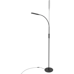 Buy Corner Floor Lamp BlitzWolf BW-LT28, 10W - BLZ407 - {ean13} - Home Screen Store Europe