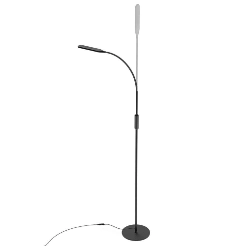Kup Lampa podłogowa BlitzWolf BW-LT28, 10W - BLZ407 - {ean13} - Sklep Home Screen