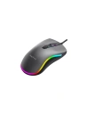 Kup Universalmouse Havit MS72 RGB - HVT133 - {ean13} - Sklep Home Screen