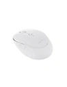 Buy Havit MS76GT universal wireless mouse 800-1600 DPI (white) - HVT136WHT - {ean13} - Home Screen Store Europe