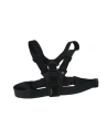 Buy Telesin Chest strap with mount for sports cameras (GP-CGP-T07) - TLS068 - {ean13} - Home Screen Store Europe