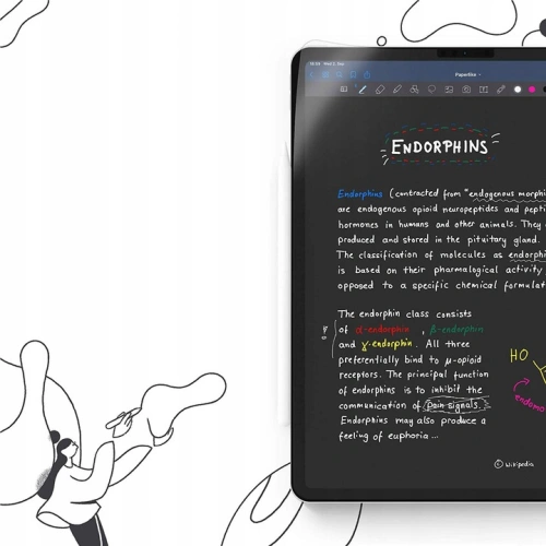 Kup Folia Paperlike Apple iPad Pro 12.9 2020/2021 (4. și 5. generație) [2 PACK] - PLI002 - {ean13} - Sklep Home Screen