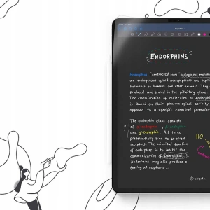 Kup Folia Paperlike Apple iPad Air 10.5 2019 (3. generație)/iPad Pro 10.5 2017 (2. generație) [2 PACK] - PLI004 - {ean13} - Sklep Home Screen