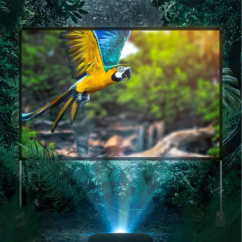 Ekran projekcyjny BlitzWolf BW-VS5 100 cali