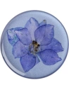 Kup Uchwyt do telefonu POPSOCKETS Premium Pressed Flower Larkspur Purple - POP016 - {ean13} - Sklep Home Screen