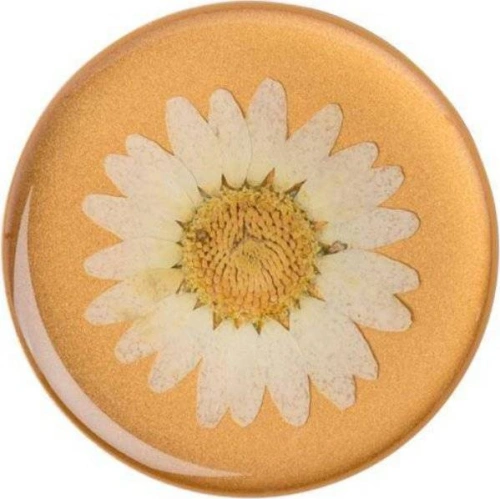Kup Handyhalter POPSOCKETS Premium Pressed Flower Weiße Gänseblümchen - POP017 - {ean13} - Sklep Home Screen