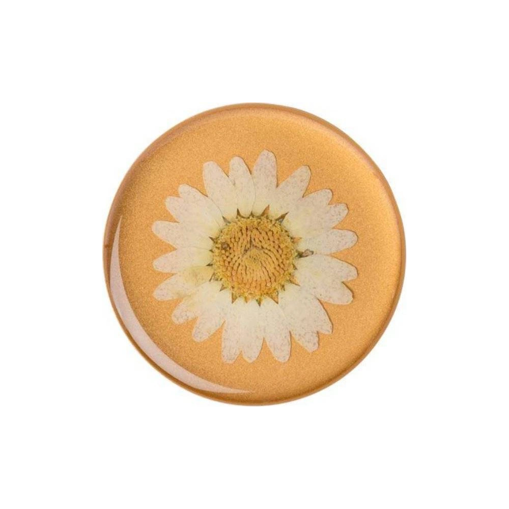 Uchwyt do telefonu POPSOCKETS Premium Pressed Flower White Daisy