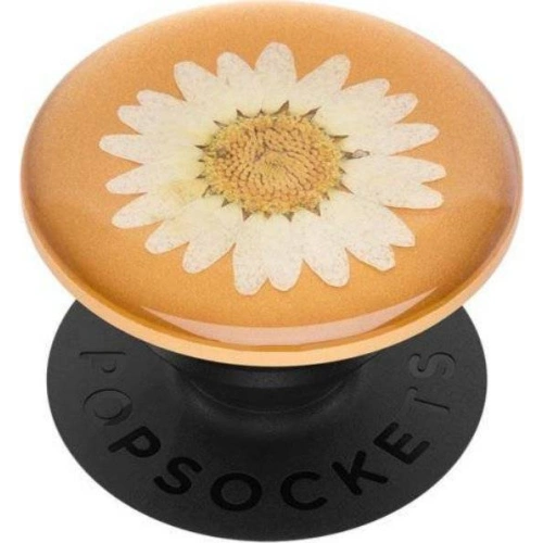 Kup Handyhalter POPSOCKETS Premium Pressed Flower Weiße Gänseblümchen - POP017 - {ean13} - Sklep Home Screen