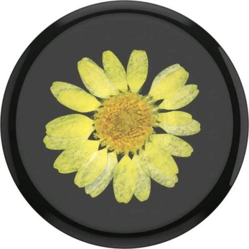 Kup Držák na telefon POPSOCKETS Premium Stisknutá květina Žlutá sedmikráska - POP018 - {ean13} - Sklep Home Screen