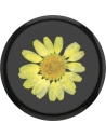 Kup POPSOCKETS Premium Sajtolt Virág Sárga Kamilla Telefon Tartó - POP018 - {ean13} - Sklep Home Screen