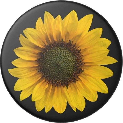 Kup Handyhalterung POPSOCKETS Standard Seed Money - POP120 - {ean13} - Sklep Home Screen