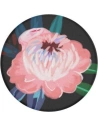 Kup Suport pentru telefon POPSOCKETS Standard Parfum de Peonie - POP126 - {ean13} - Sklep Home Screen