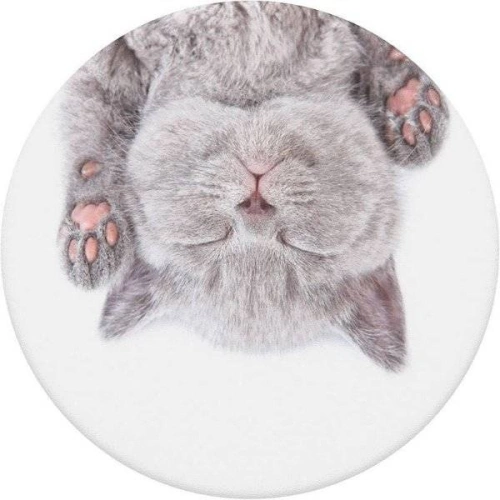Kup Handyhalter POPSOCKETS Standard Cat Nap - POP132 - {ean13} - Sklep Home Screen