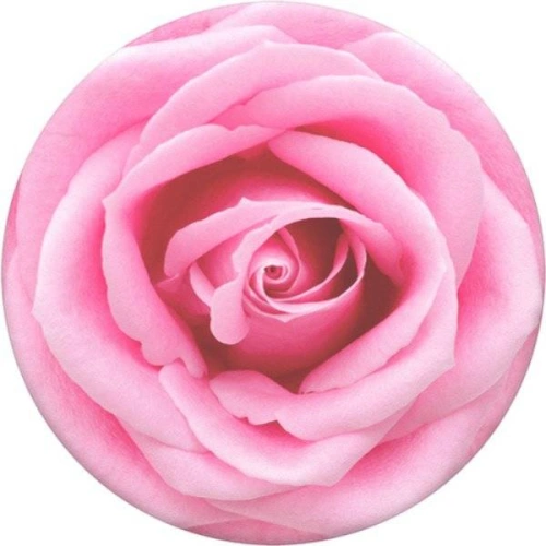 Kup Držák na telefon POPSOCKETS Standard Rose All Day - POP182 - {ean13} - Sklep Home Screen