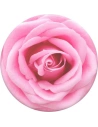 Kup Držák na telefon POPSOCKETS Standard Rose All Day - POP182 - {ean13} - Sklep Home Screen