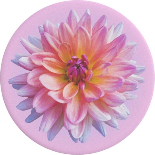 Kup Držák na telefon POPSOCKETS Standard Dahlia Icon - POP253 - {ean13} - Sklep Home Screen