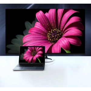 Adapter jednokierunkowy UGREEN MM139 USB-C - Display Port 4K 1,5m biały