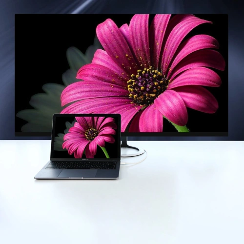 Kup UGREEN MM139 USB-C - Display Port 4K 1,5m fekete egyirányú adapter - UGR1296BLK - {ean13} - Sklep Home Screen