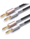 Buy UGREEN AV152 two-channel speaker cable with banana plug - UGR1363BAN - {ean13} - Home Screen Store Europe