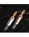 Buy UGREEN AV152 two-channel speaker cable with banana plug - UGR1363BAN - {ean13} - Home Screen Store Europe