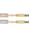 Buy UGREEN AV152 two-channel speaker cable with banana plug - UGR1363BAN - {ean13} - Home Screen Store Europe