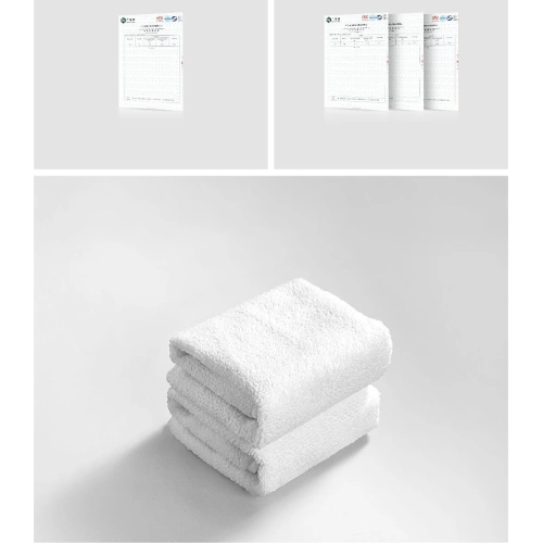 Kup Sprej na čištění interiéru automobilu Baseus Auto-care 300ml bílý - BSU3471WHT - {ean13} - Sklep Home Screen