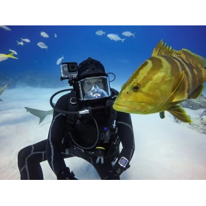 Kup Etui Tech-Protect Waterproofcase Gopro Hero 5/6/7 Clear - THP1236 - {ean13} - Sklep Home Screen