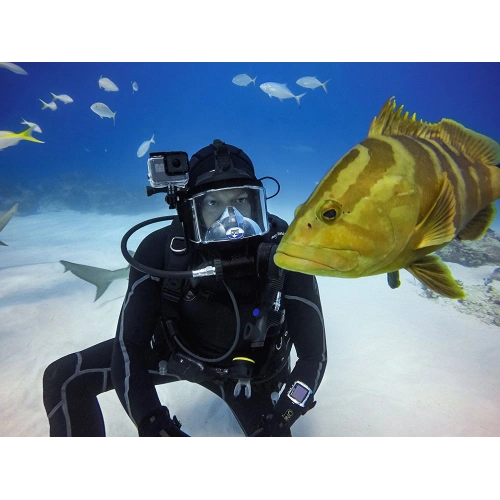 Kup Etui Tech-Protect Waterproofcase Gopro Hero 5/6/7 Clear - THP1236 - {ean13} - Sklep Home Screen