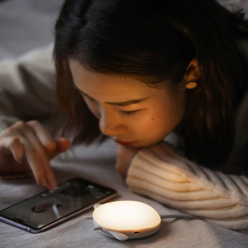 Buy Baseus wireless hand warmer with a tourist lamp gray - BSU3487 - {ean13} - Home Screen Store Europe