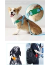 Buy Tech-Protect Smooth For Pet Apple AirTag Black - THP1247BLK - {ean13} - Home Screen Store Europe