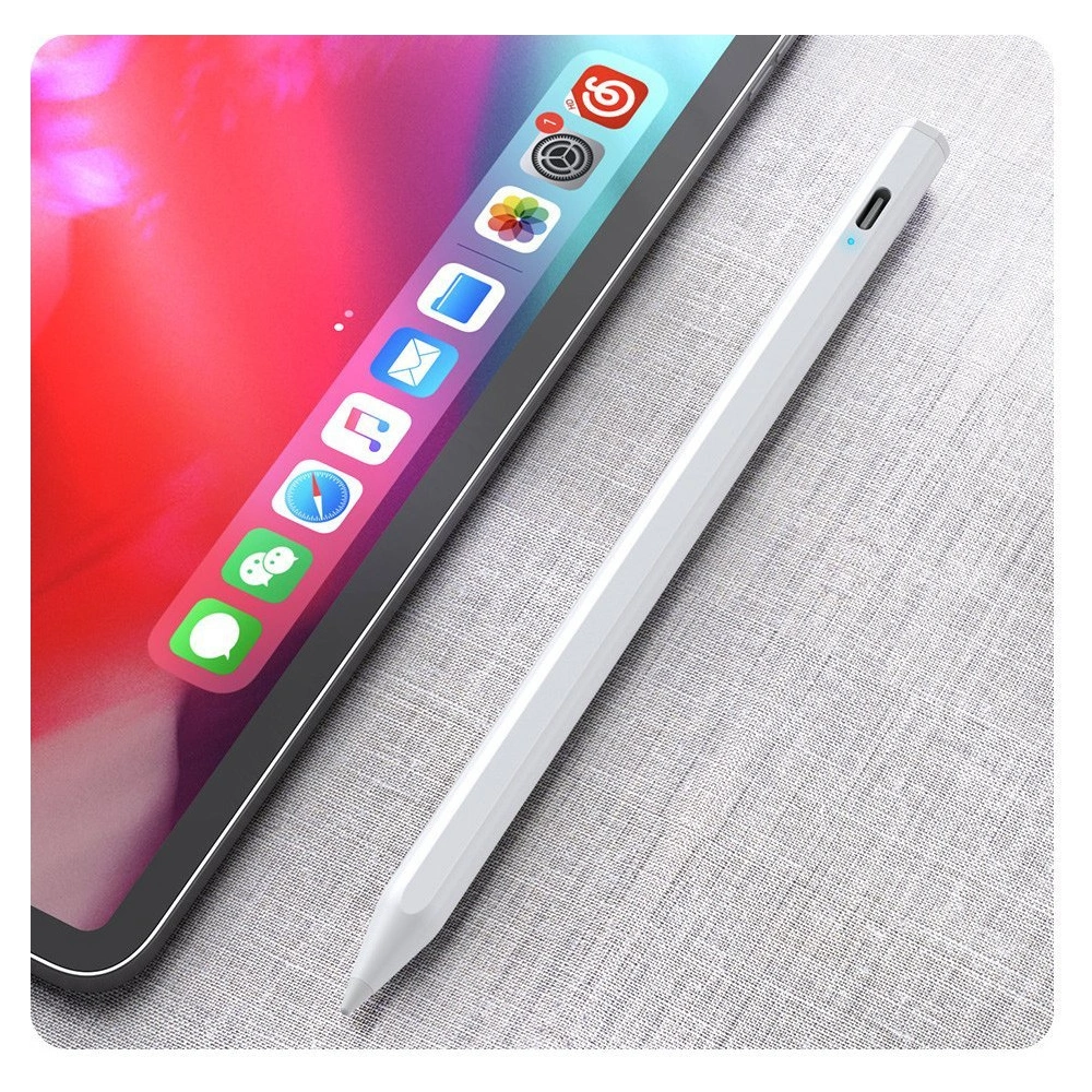 Rysik Dux Ducis Apple iPad (classic version) biały