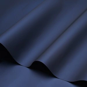 Dux Ducis Skin Pro tok Xiaomi Mi 10T/10T Pro kék