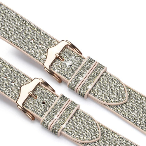 Buy Dux Ducis Strap for Apple Watch 4/5/6/7/8/9/SE/10 40/41/42mm silver (Sparkle Version) - DDS962 - {ean13} - Home Screen Store Europe