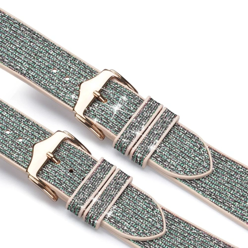 Buy Dux Ducis Strap for Apple Watch 4/5/6/7/8/9/SE/10 40/41/42mm green (Sparkle Version) - DDS964 - {ean13} - Home Screen Store Europe