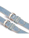 Buy Dux Ducis Strap for Apple Watch 4/5/6/7/SE/8/9/Ultra 44/45/49mm blue (Sparkle Version) - DDS968 - {ean13} - Home Screen Store Europe