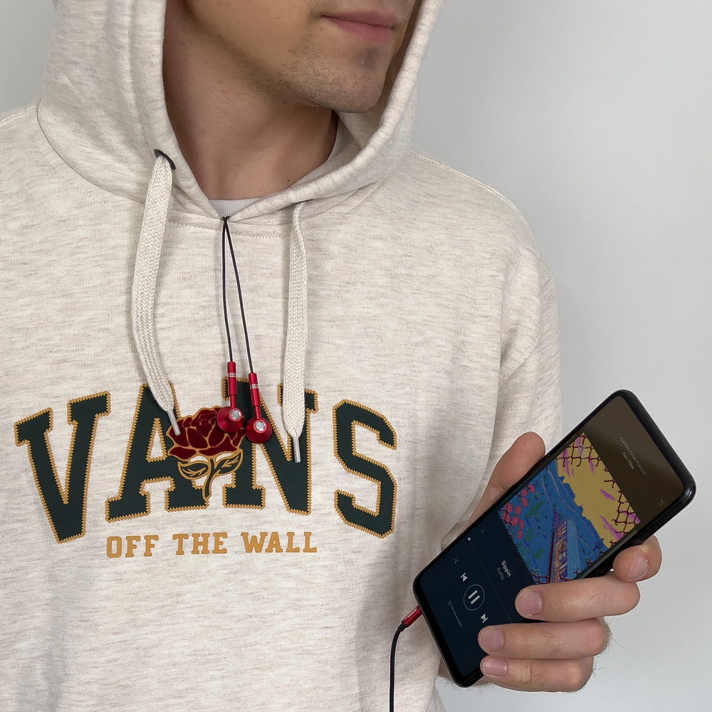 Słuchawki Dudao 3,5mm mini jack szary (X8Pro)