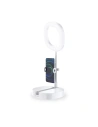 Buy Dudao Lamp LED Ring Flash Tripod Kit for Live Streaming Videos YouTube TikTok Instagram Phone Holder for Selfie Ring Light White (F16) - DDA141 - {ean13} - Home Screen Store Europe