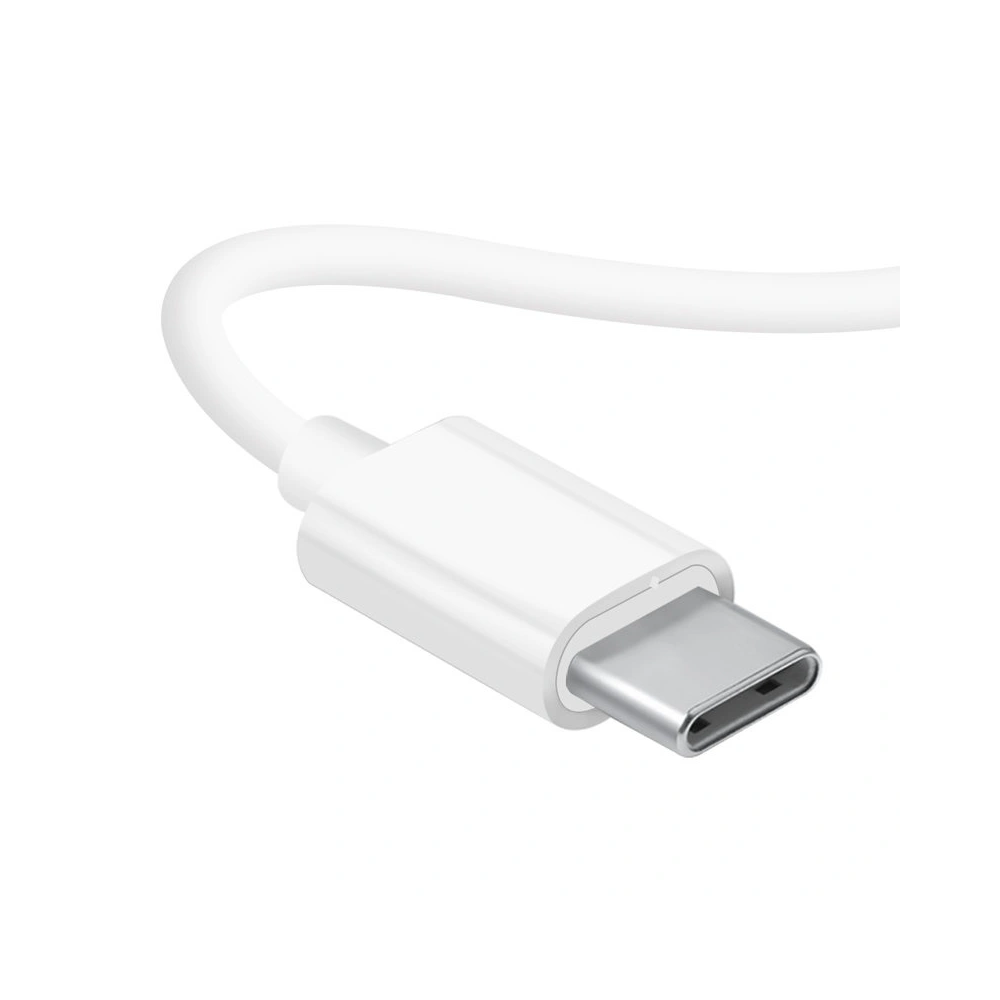 Słuchawki Dudao USB-C biały (X3C)