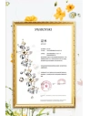 Kup Etui Kingxbar Blossom Swarovski Apple iPhone 11 Pro vícebarevné (Kapok) - KGX241 - {ean13} - Sklep Home Screen
